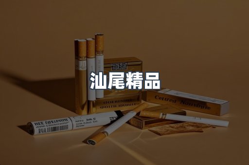 汕尾精品
